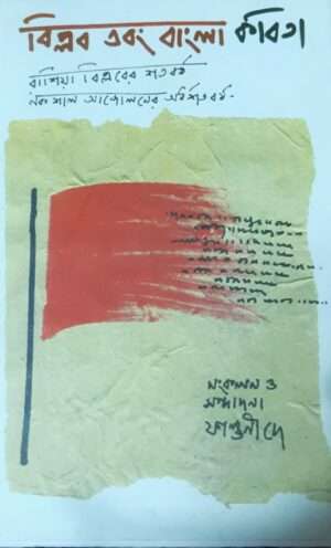 Biplab Ebong Bangla Kobita | বিপ্লব এবং বাংলা কবিতা